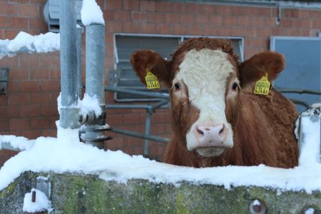 IMG_9280 verkleinert.JPG